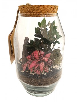 TERRARIUM 058 D. 12 H. 20 CM