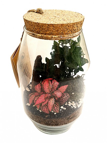 TERRARIUM 058 D. 12 H. 20 CM