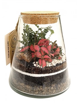 TERRARIUM 059 D. 16 H. 17 CM