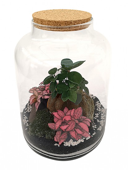 TERRARIUM 01 H. 33 D. 22 CM 