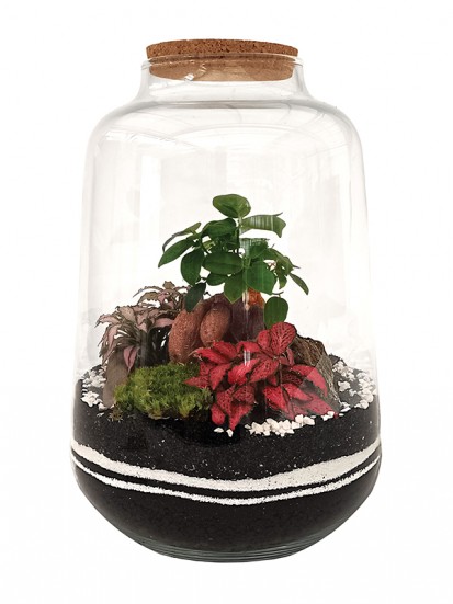 TERRARIUM 01 H. 33 D. 22 CM 