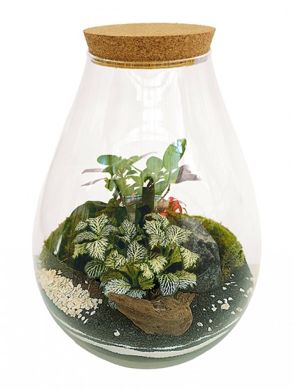 TERRARIUM 02 H. 36 D. 26 CM