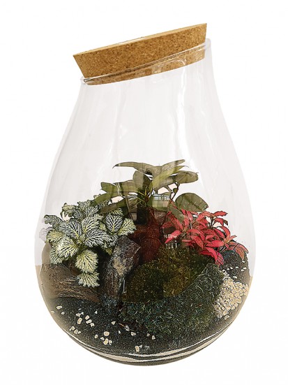 TERRARIUM 02 H. 36 D. 26 CM