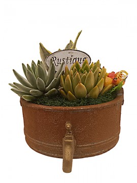 COMPOSIZIONE SUCCULENTE BLESS HOME