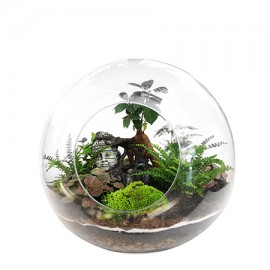 Terrarium